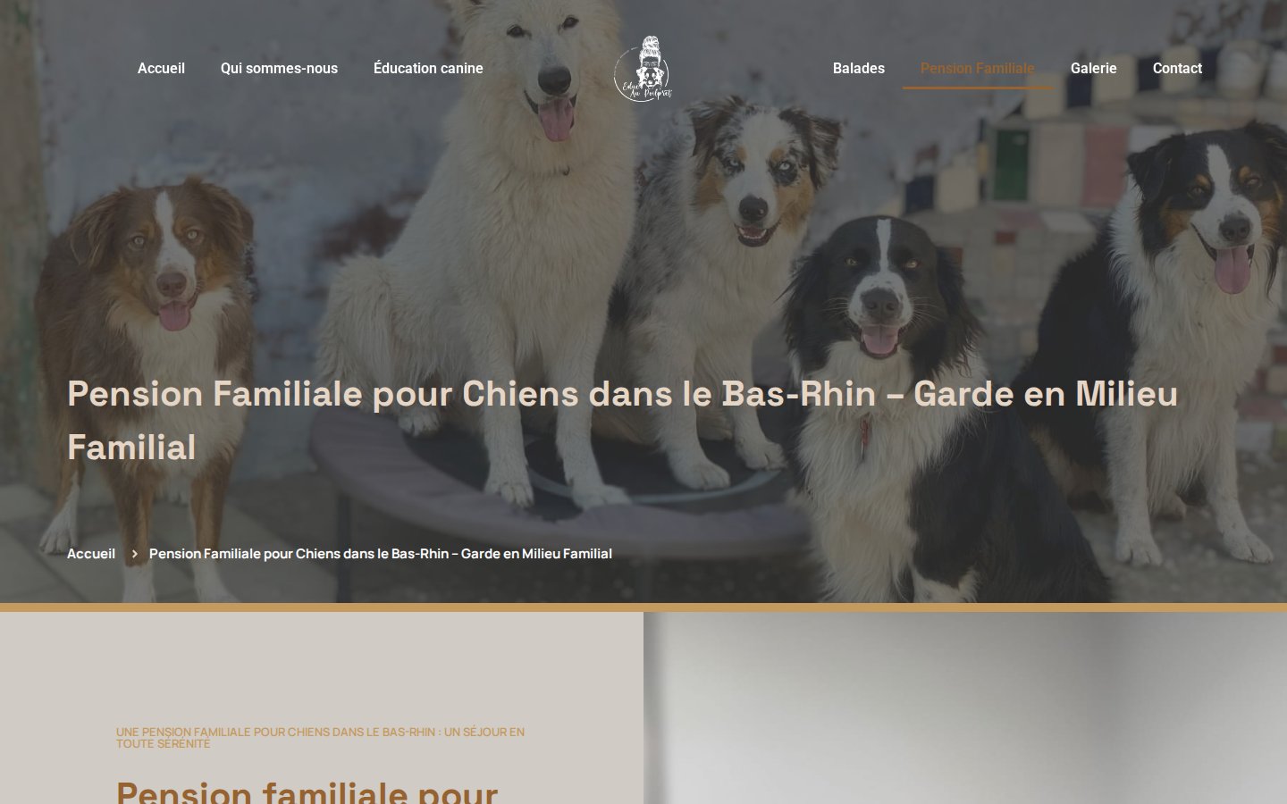 Page pension familiale pour chiens du site d'Éduc au Poilpret